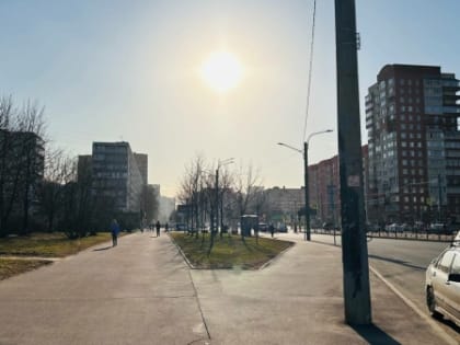 В Петербурге ночью на 9 мая зафиксировали заморозки, каких не повторялось с 1999 года