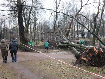 Шторм в Петербурге повредил крыши почти полсотни домов