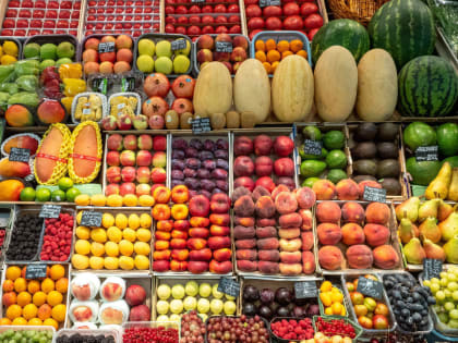Назван продукт, способный укрепить сосуды