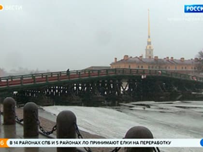 Из-за сильного ветра в Петербурге объявлен желтый уровень погодной опасности