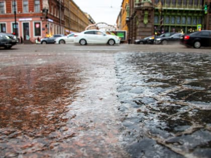 Гололед не исчезнет: оттепель и небольшой снег ожидаются в Петербурге 1 февраля