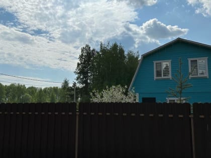 Специалист рассказал, какие медикаменты обязан иметь под рукой дачник