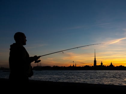 Вплоть до летального исхода: петербуржцам напомнили об опасности паразитов в рыбе