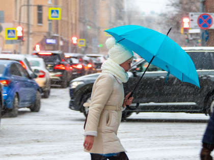 Петербуржцев предупредили об усилении ветра 9 февраля