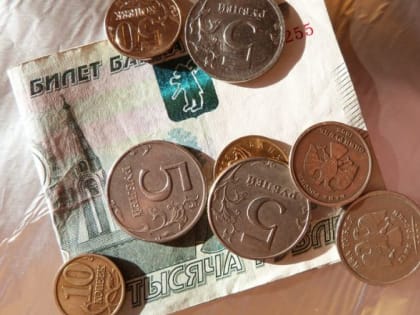 В Петербурге началась распродажа земли за 1 рубль в целях импортозамещения