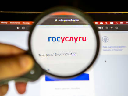Жители Ленобласти подали более 12 млн заявлений через «Госуслуги» в 2024 году