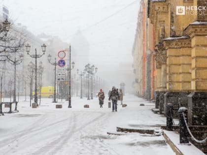 «Тихо, почти штиль»: синоптик Колесов рассказал, какая погода ждет Петербург с 23 до 26 февраля