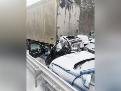 В массовом ДТП на платной трассе М-11 столкнулось 32 машины