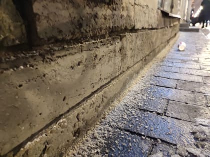 Невский «принимает соляную ванну»: коммунальщики продолжают отравлять зиму в Петербурге