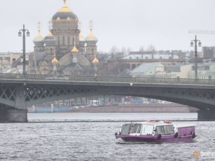 Весна в Петербурге притормозила. Пока только температура ниже нормы, а скоро — ещё и снег