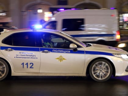 Петербуржец нашел брата в лужи крови в квартире на Киевской