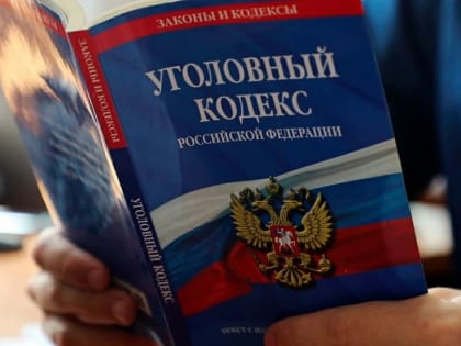 Бастрыкин распорядился завести уголовное дело после избиения подростка на Аннинском шоссе
