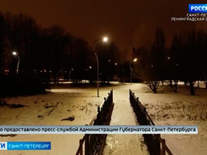 Начался второй этап строительства системы освещения в Муринском парке