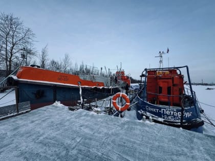 В Петербурге к 2030 году планируют обновить баланс ГКУ «Пиларн» в Горской