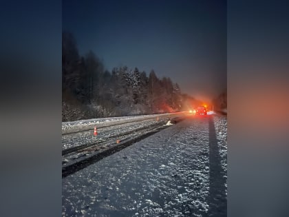 Петербургская полиция проводит проверку по ДТП в Кингисеппе