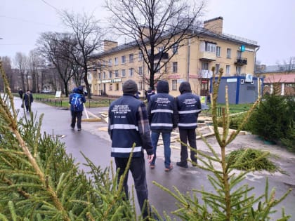 Смольный готовится к Новому году. Пять елочных базаров в Петербурге пошли под снос