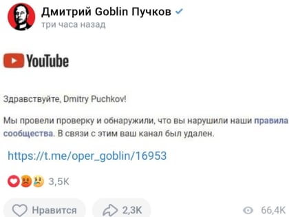 «Держитесь, тёзка!» Дмитрий Медведев пообещал отомстить за блокировку канала Гоблина Пучкова