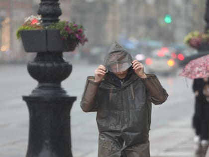 Холодный атмосферный фронт принесет в Петербург грозовые дожди