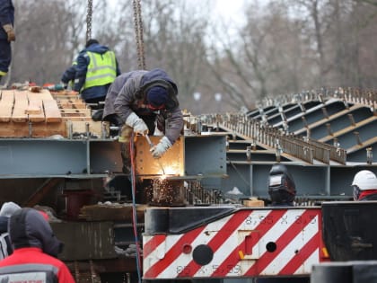 Названы наиболее востребованные специалисты на рынке труда Ленинградской области