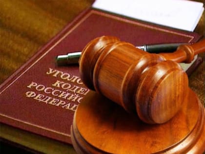 В Санкт-Петербурге мужчина признан виновным в применении насилия в отношении представителя власти