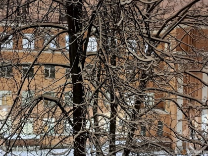 Петербург встретил февраль любимой погодой читателей «Фонтанки»