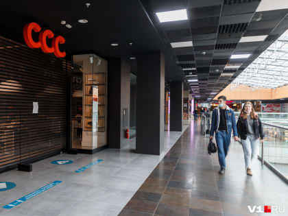 В Кремле рассказали, как долго Россия сможет выдержать санкции: новости СВО за 24 октября