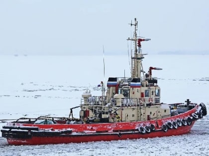 «Надежда отсутствует полностью»: матроса с судна «Буран» ищут почти неделю