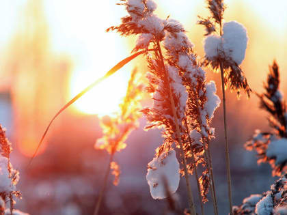 Колесов: за десять дней в Петербурге выпало 20% осадков