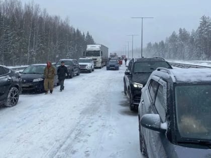 Движение на трассе М-11 начали постепенно восстанавливать после смертельного ДТП