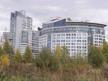 В Петербурге начались онлайн-обсуждения проектов межевания территории в трех районах