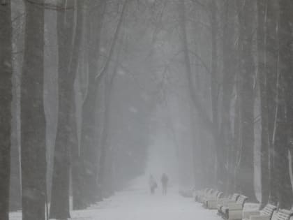 В воскресенье в Ленобласти ожидается мокрый снег и гололедица