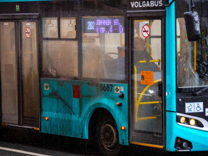 «Упали» цифровые сервисы Смольного. Общественный транспорт перестал отображаться на картах