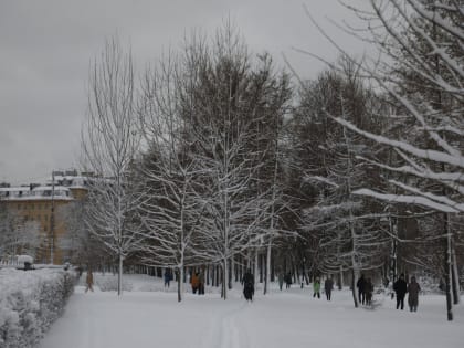 В Петербурге появятся сквер Алые паруса и сквер Людмилы Беловой