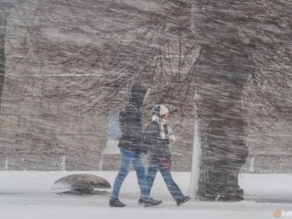 Весеннюю погоду 8 марта не ждите
