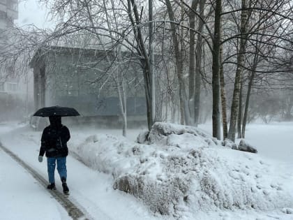 Волонтеры ищут пропавшего две недели назад 38-летнего жителя Петербурга