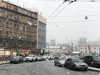 В Петербурге объявили первые открытые аукционы по аренде земли на инвестусловиях в 2020-ом