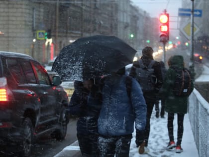 МЧС: к Петербургу мчится северный ветер до 15 м/с