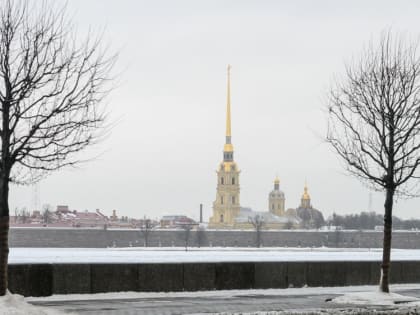 Прогулки и покупки: Врач рассказал петербуржцам, как спастись в отсутствие солнца