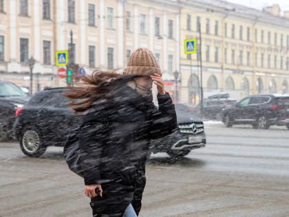 «Желтый» уровень опасности объявили в Петербурге в ночь на 28 февраля из-за сильного ветра