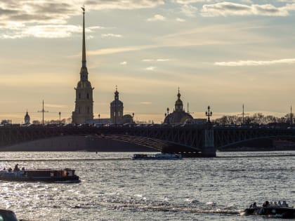 В Петербурге за 6 лет число компаний-экспортеров увеличилось на 64 процента