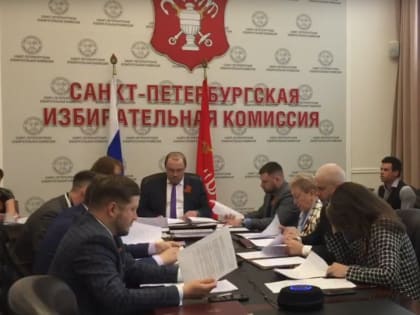 Никаких референдумов. В Петербурге отклонили заявку на голосование о запрете электросамокатов