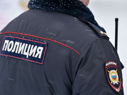 Пьяный мужчина с кулаками набросился на полицейского в Петербурге