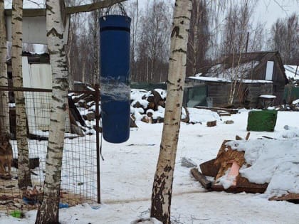 У животных из частного хозяйства «Респект» не осталось приюта