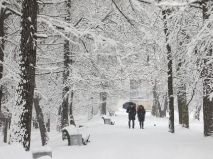 Колесов: такого количества осадков в январе еще не было в истории Петербурга