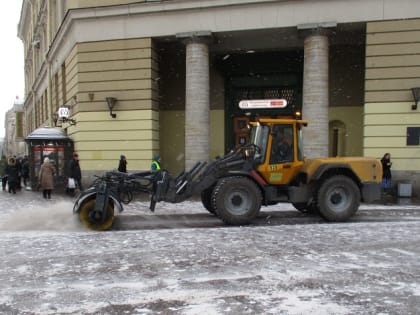 Петербург засыпали опасной для машин и животных солью