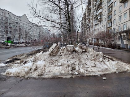Пиарить стали по-новому, а дворников не хватает по-старому: к реформе ЖКХ присоединились еще пять районов Петербурга