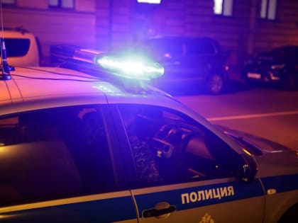 В полиции привели точные цифры, насколько в Петербурге стало меньше нарколабораторий и «закладок»