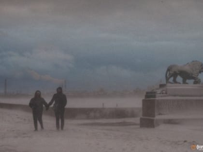 Холода наступают. В Петербурге в начале недели может быть минус 14