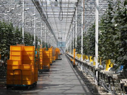 В Петербурге состоялась крупнейшая сделка по аренде рабочих мест