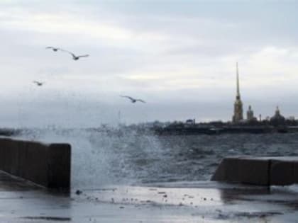 В Петербурге из-за сильного ветра объявлено штормовое предупреждение, ожидается подъем воды в Неве